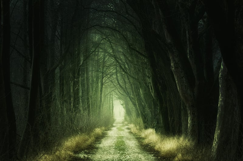 Enchanted Woodland Retreats